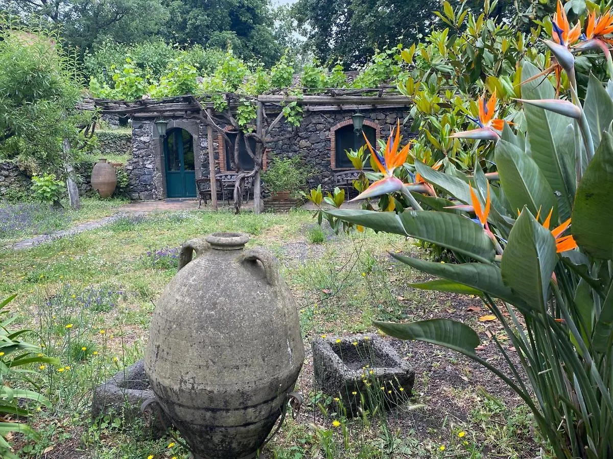Bed And Breakfast Il Glicine Piedimonte Etneo 0*,
