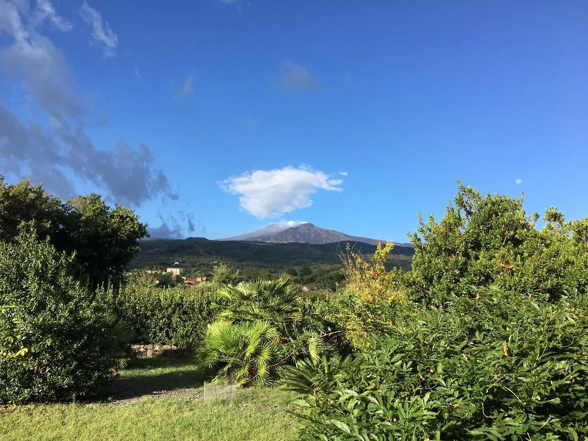 Bed And Breakfast Il Glicine Piedimonte Etneo Italië
