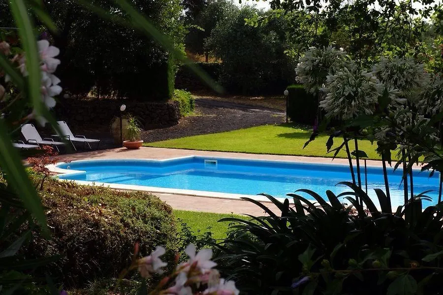 Bed & Breakfast Bed And Breakfast Il Glicine Piedimonte Etneo Italy